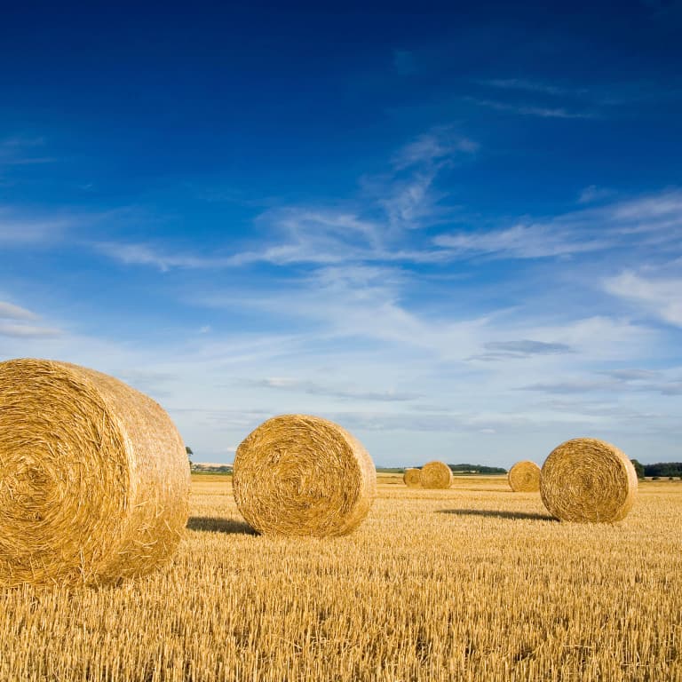 hay bales