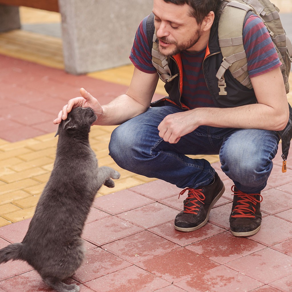 Discrimination claim brought against Sainsbury’s after ‘assistance cat’ refused entry shop