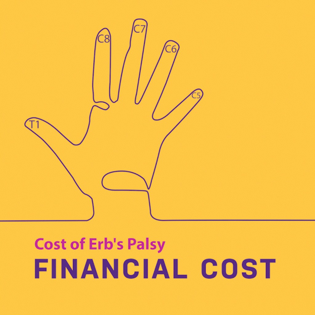 Financial Cost of Erb's Palsy