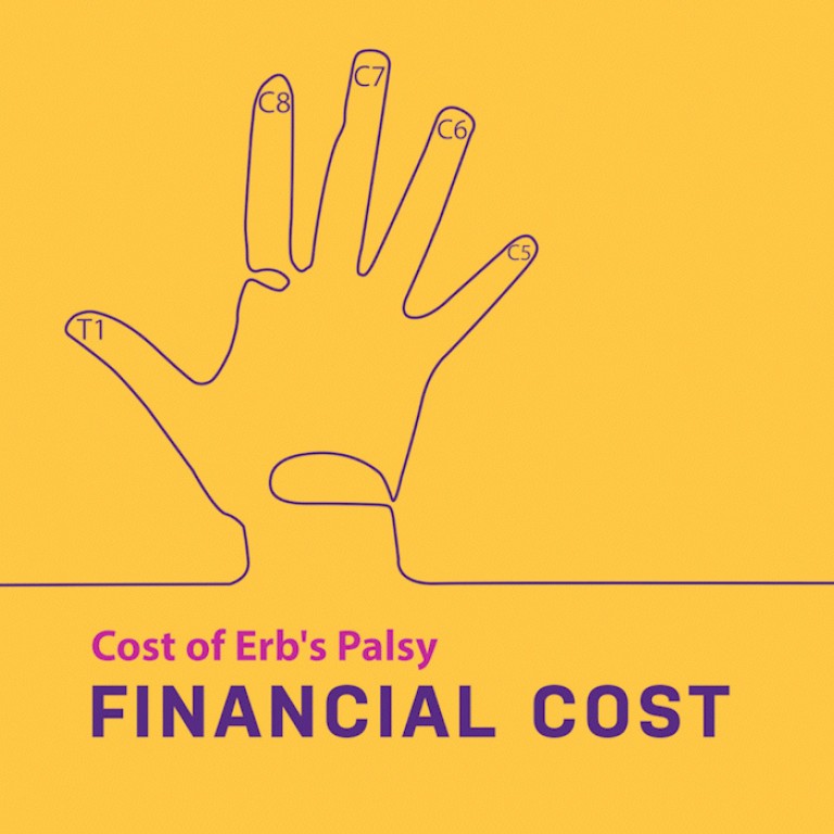 Financial Cost of Erb's Palsy