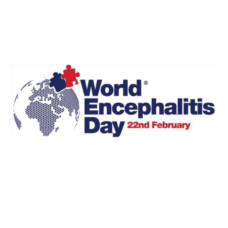 World Encephalitis Day
