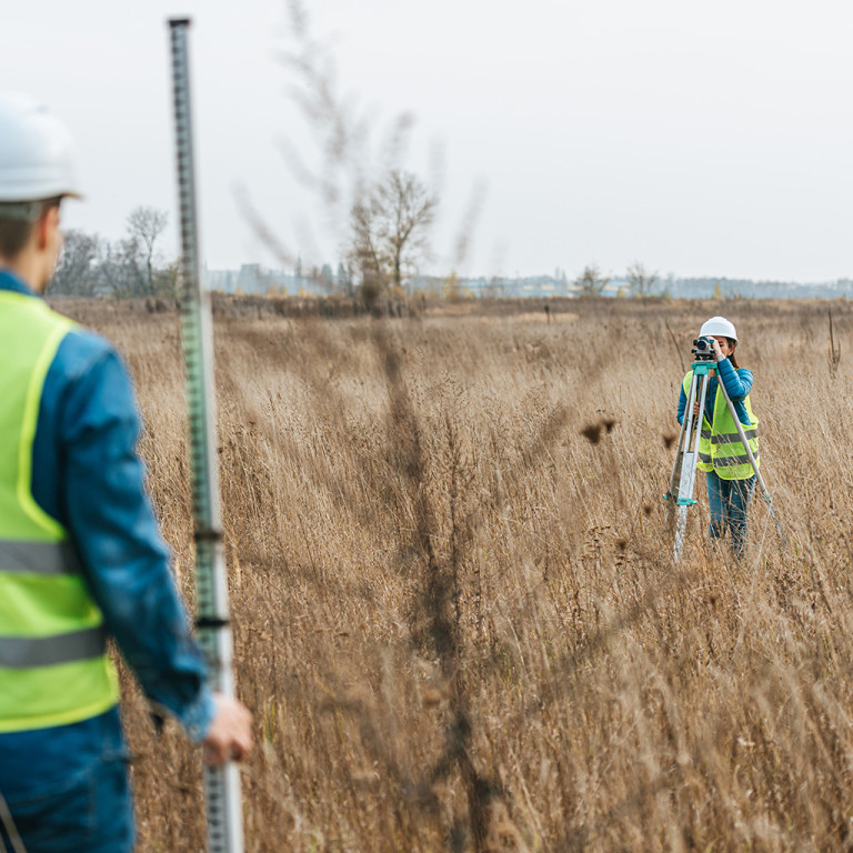 What is Biodiversity Net Gain and how to achieve it?