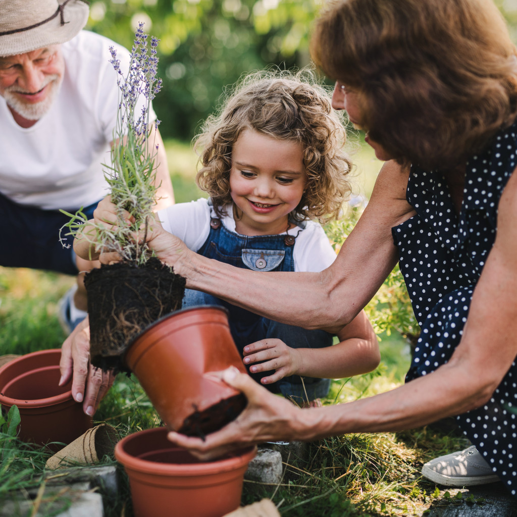 What Are My Legal Rights as a Grandparent?