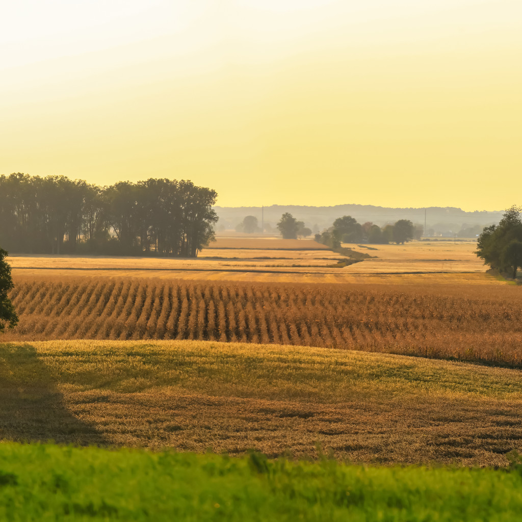 Public rights of way over private land: what are they?