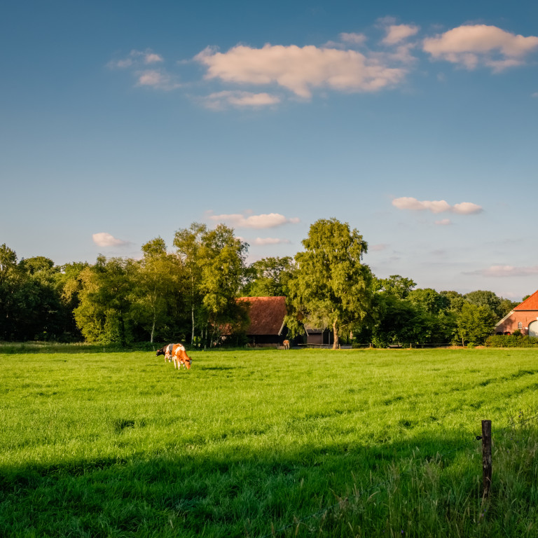 Diversifying the Use of Land: What Does a Rural Landowner Need to Think About?