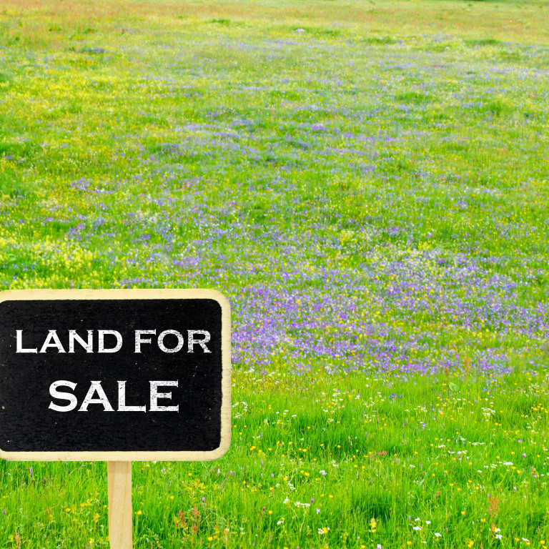 Key Points to Consider When Selling a Farm or Land in the UK