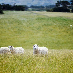 Divorce and the Family Farm