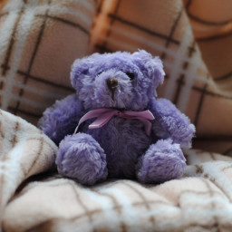 Minor children Inheritance Act claims