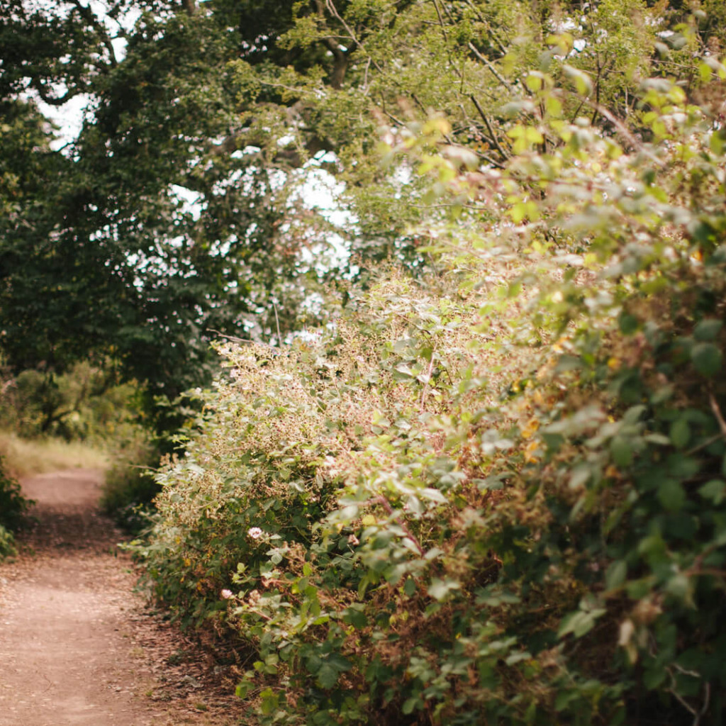 Tozers help North Devon community secure land as a buffer against development